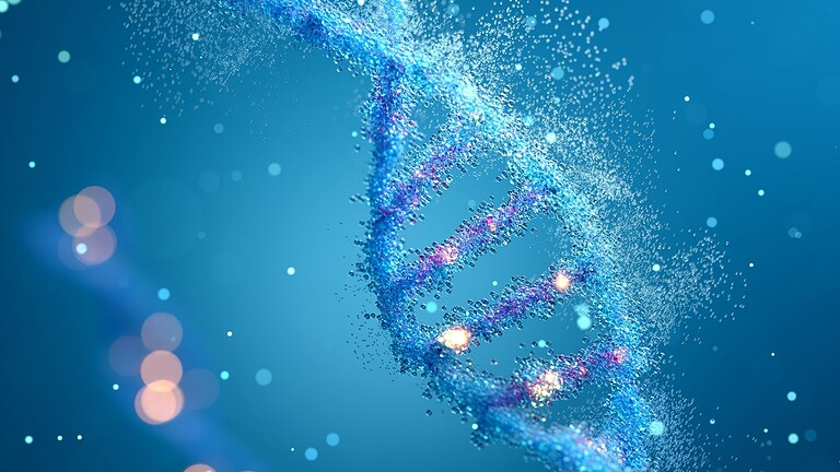 SLA, farmaco sperimentale XL20 protegge i neuroni: nuova speranza