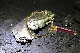 Homo naledi, i denti svelano un mistero che può riscrivere la storia