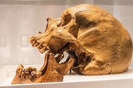 Neanderthal e Homo sapiens: 30.000 anni di cultura condivisa