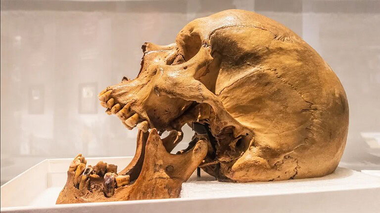 Neanderthal e Homo sapiens: 30.000 anni di cultura condivisa
