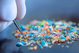 Microplastiche nei sedimenti del Settecento: come ci sono arrivate?