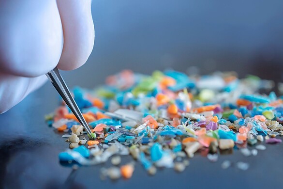 Microplastiche nei sedimenti del Settecento: come ci sono arrivate?