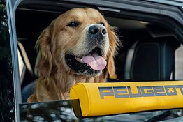Peugeot E-5008 Dog Edition: l’auto progettata per il cane
