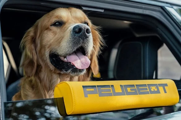 Peugeot E-5008 Dog Edition: l’auto progettata per il cane