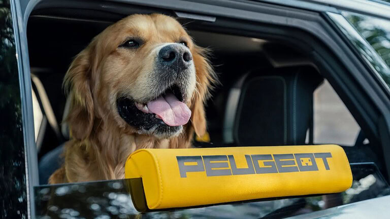 Peugeot E-5008 Dog Edition: l'auto progettata per il cane