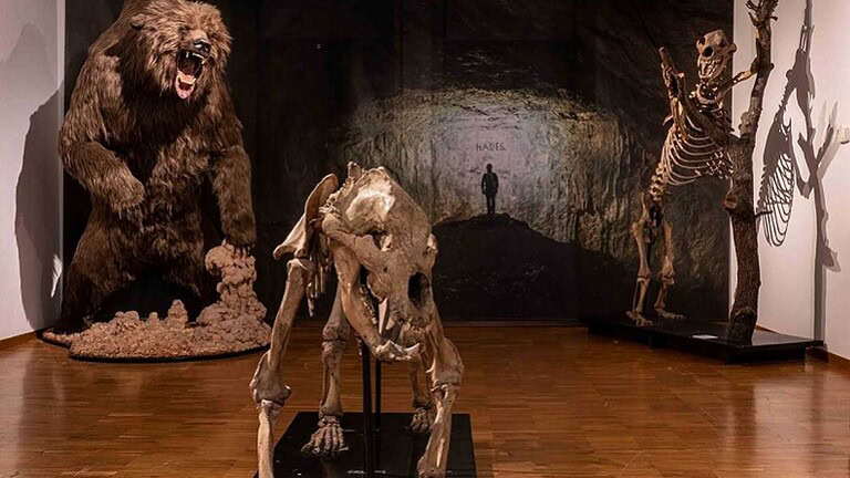 Grotta di Bossea: le ossa dell'orso delle caverne in Piemonte