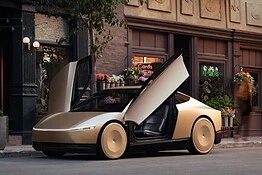 Tesla robotaxi accessibile in sedia a rotelle: annuncio a Washington