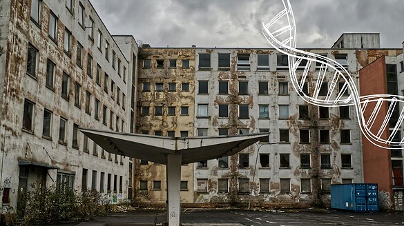 Chernobyl, le radiazioni lasciano un segno nel DNA dei figli?