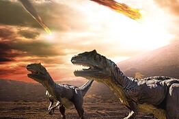Asteroide dei dinosauri: era una rara condrite carbonacea