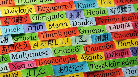 Lingue nel mondo: 30.000 parlate 3.000 anni fa, oggi solo 7.500