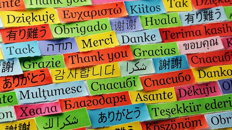 Lingue nel mondo: 30.000 parlate 3.000 anni fa, oggi solo 7.500