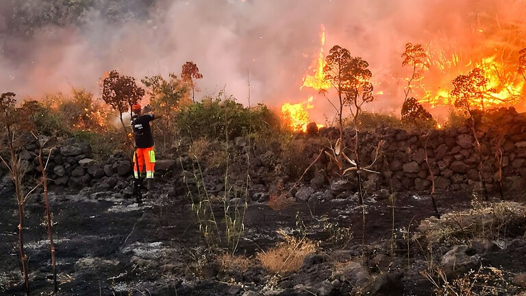 Apple, doppia donazione per incendi in Europa e terremoto in Giappone