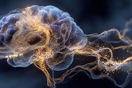 Coscienza, il neuroscienziato Koch: e se non nascesse nel cervello?