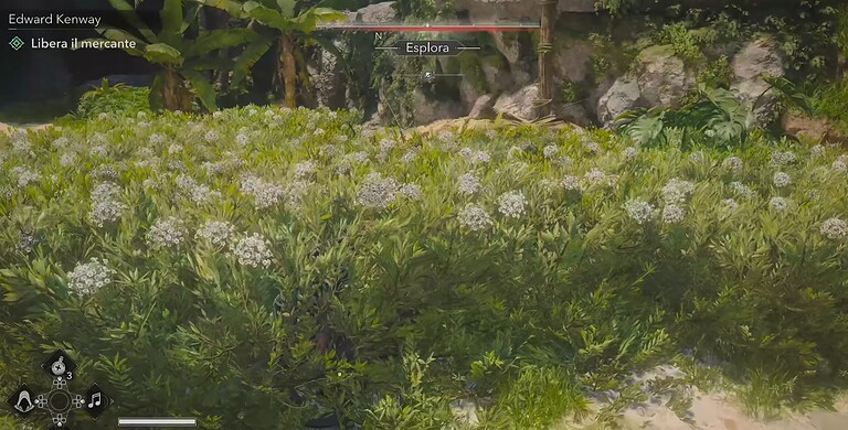 assassin's creed black flag - immagine 11