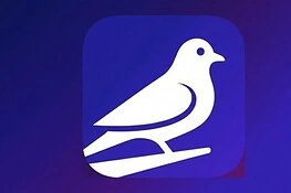 Roost, l’app social che rallenta i messaggi di proposito: ecco perché