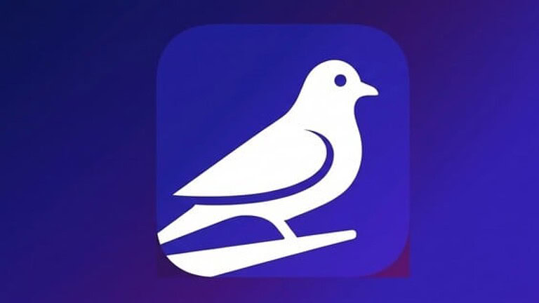 Roost, l'app social che rallenta i messaggi come piccioni viaggiatori - app Roost