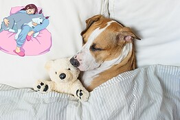 Dormire con il cane o il gatto: cosa dice davvero la scienza