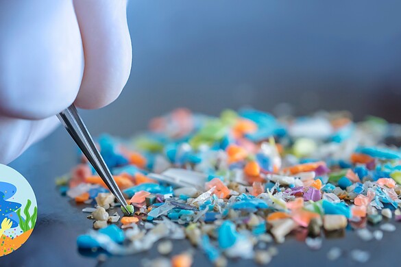 Scarti di granchio contro le microplastiche: l’idea dei ricercatori giapponesi