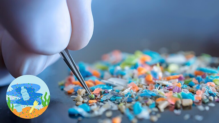 Scarti di granchio contro le microplastiche: l'idea dei ricercatori giapponesi