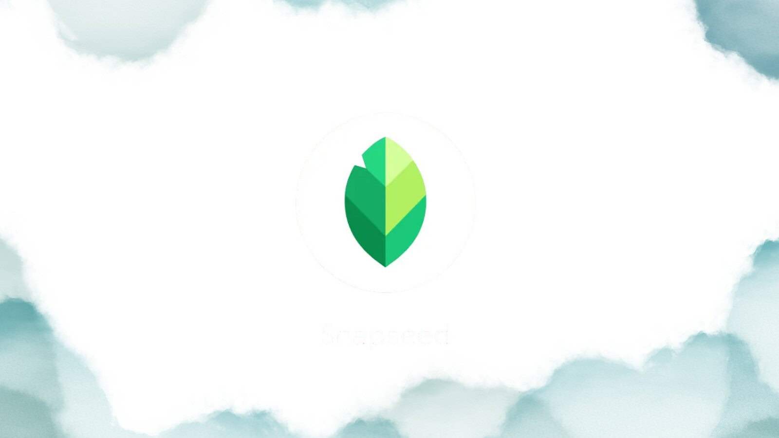 Snapseed 4.1 su Android: nuovo supporto RAW e funzioni Annulla