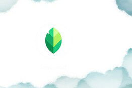 Snapseed 4.1 su Android: nuovo supporto RAW e funzioni Annulla
