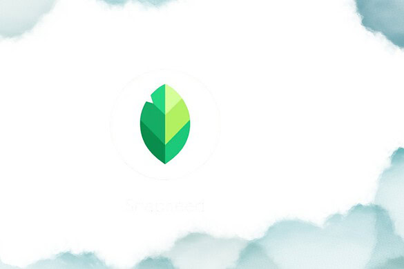 Snapseed 4.1 su Android: nuovo supporto RAW e funzioni Annulla