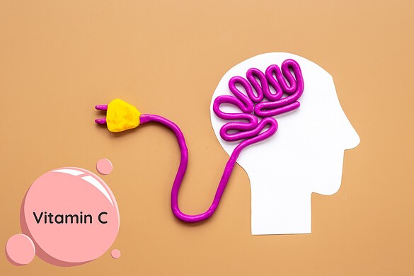 Vitamina C e cervello: il legame inatteso scoperto sugli anziani