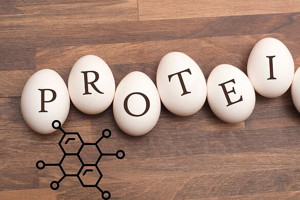 Proteina tau, il ruolo nascosto nella memoria a lungo termine