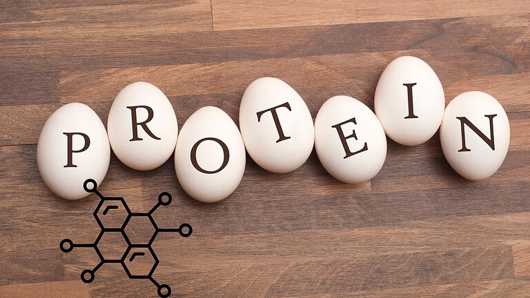 Proteina tau, il ruolo nascosto nella memoria a lungo termine