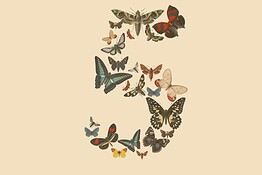 Claude Fable 5 gratis per tutti: la mossa anti GPT-5.6 Sol