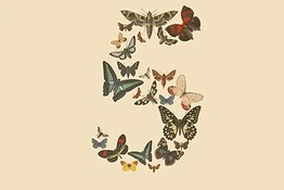Claude Fable 5 gratis per tutti: la mossa anti GPT-5.6 Sol