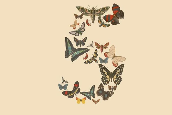 Claude Fable 5 gratis per tutti: la mossa anti GPT-5.6 Sol