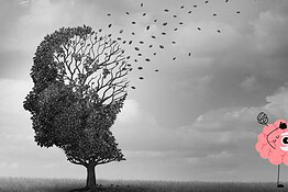 Alzheimer, scoperta la proteina Arc che diffonde la malattia nel cervello
