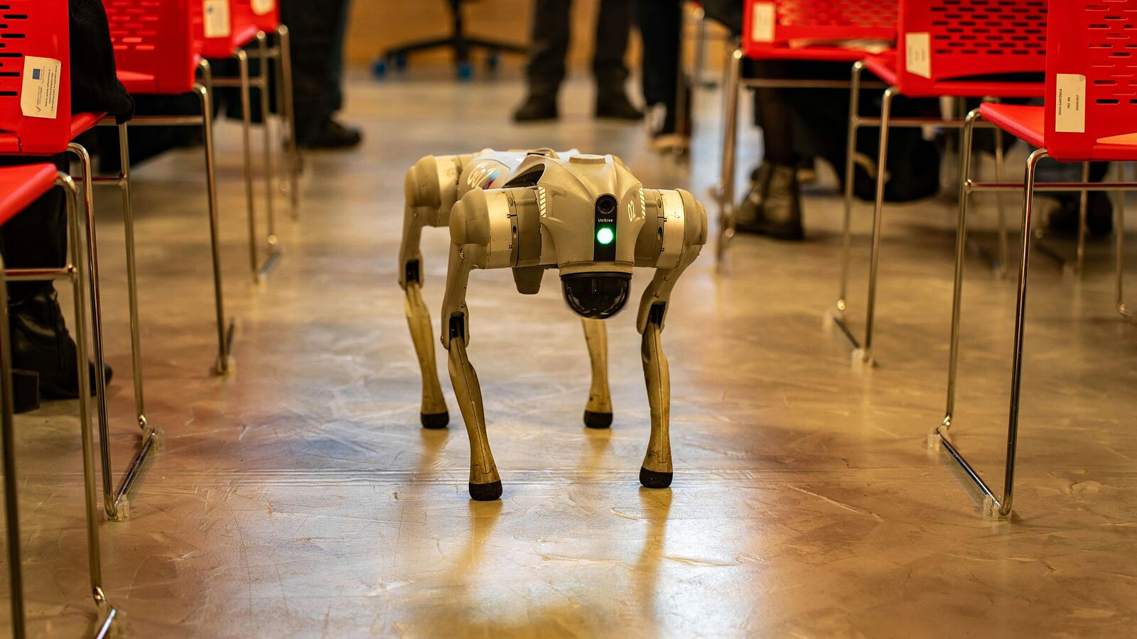 DEEP Robotics, il cane robot filma le antilopi a 4.700 metri
