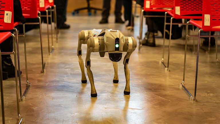 DEEP Robotics, il cane robot filma le antilopi a 4.700 metri