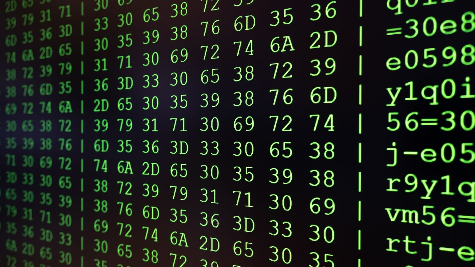 Codex CLI, un progetto Node.js completo creato da zero nel terminale