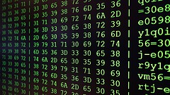 Codex CLI, un progetto Node.js completo creato da zero nel terminale