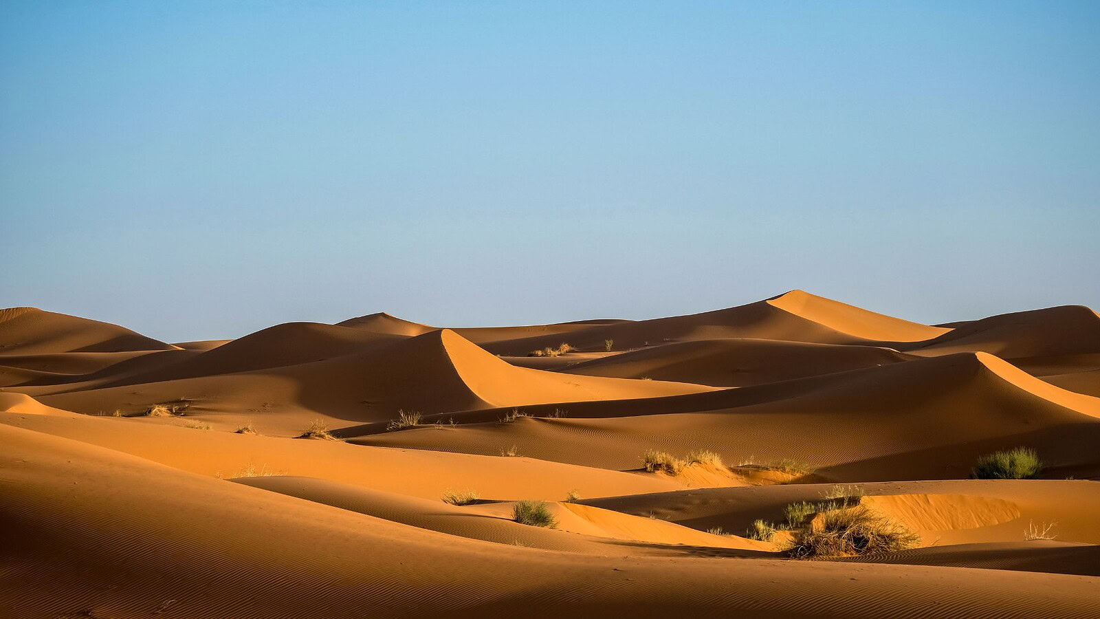 deserto