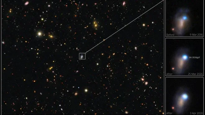 supernova SN 2026gzf Supernova SN 2026gzf, catturato il raro lampo dello shock breakout