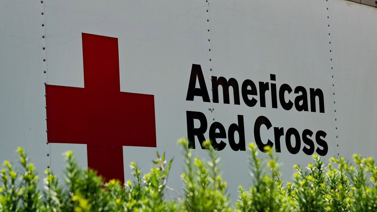 Croce Rossa americana