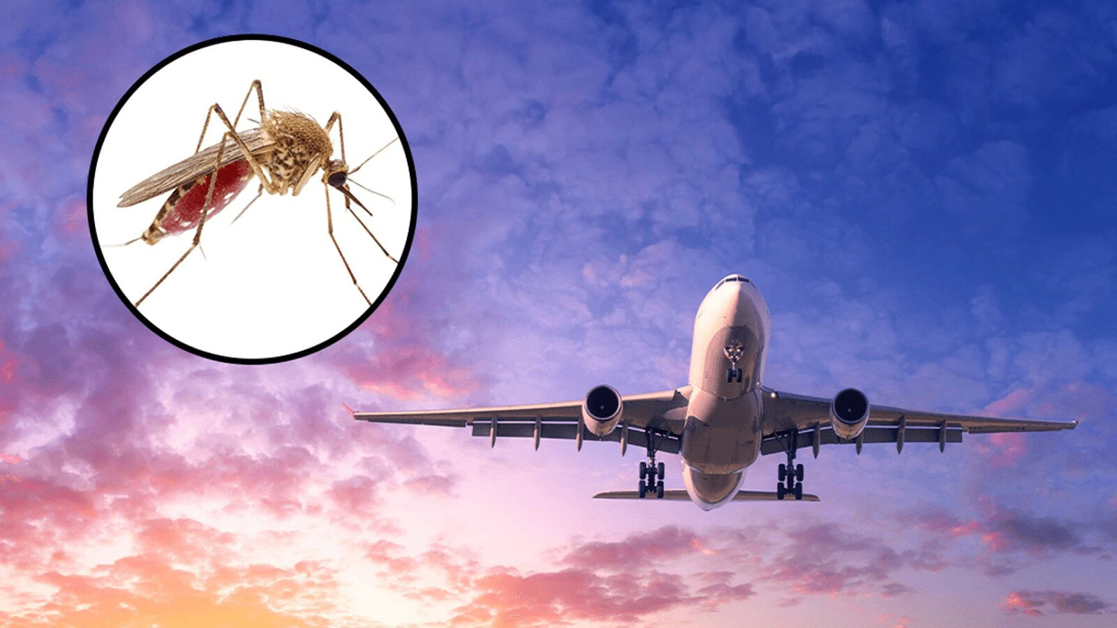Malaria da aeroporto