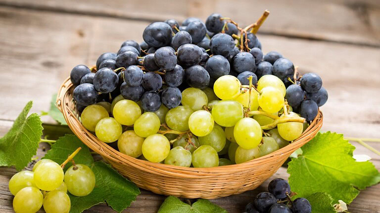 Franciacorta: fa troppo caldo, la vendemmia arriva un mese prima