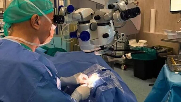 Torino, l'intelligenza artificiale ridà la vista a una donna di 82 anni