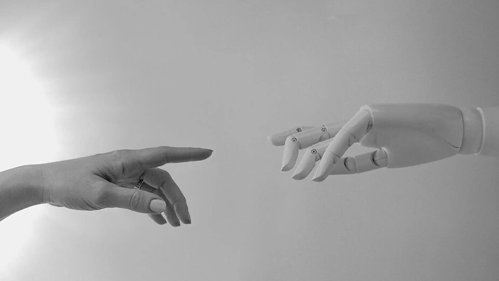 BioflexBot, la mano robotica che si allunga 3,5 volte di più