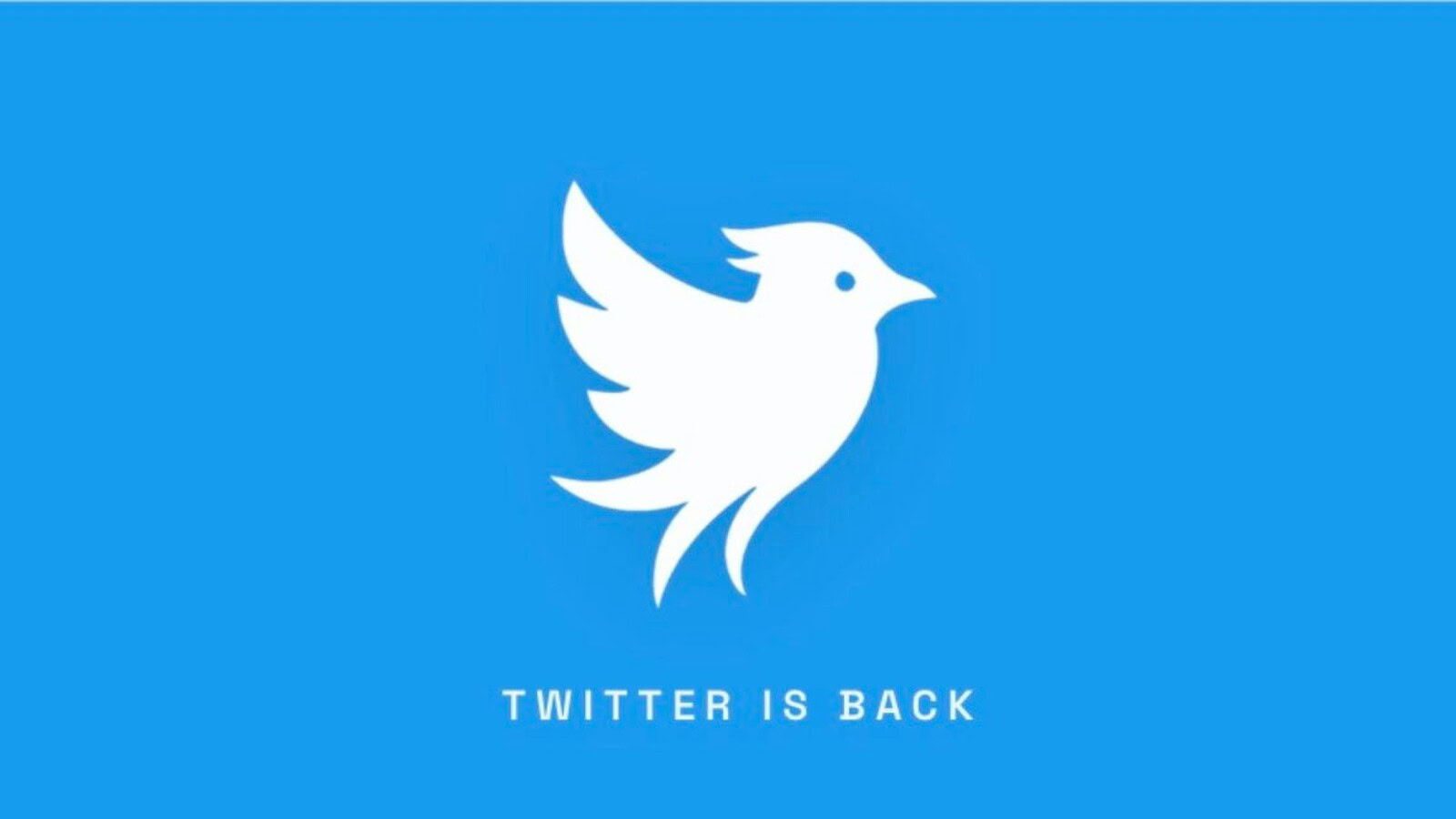 Twitter torna online