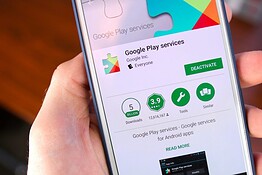 Google Play Services 26.29: Express Pay dal Pixel Watch