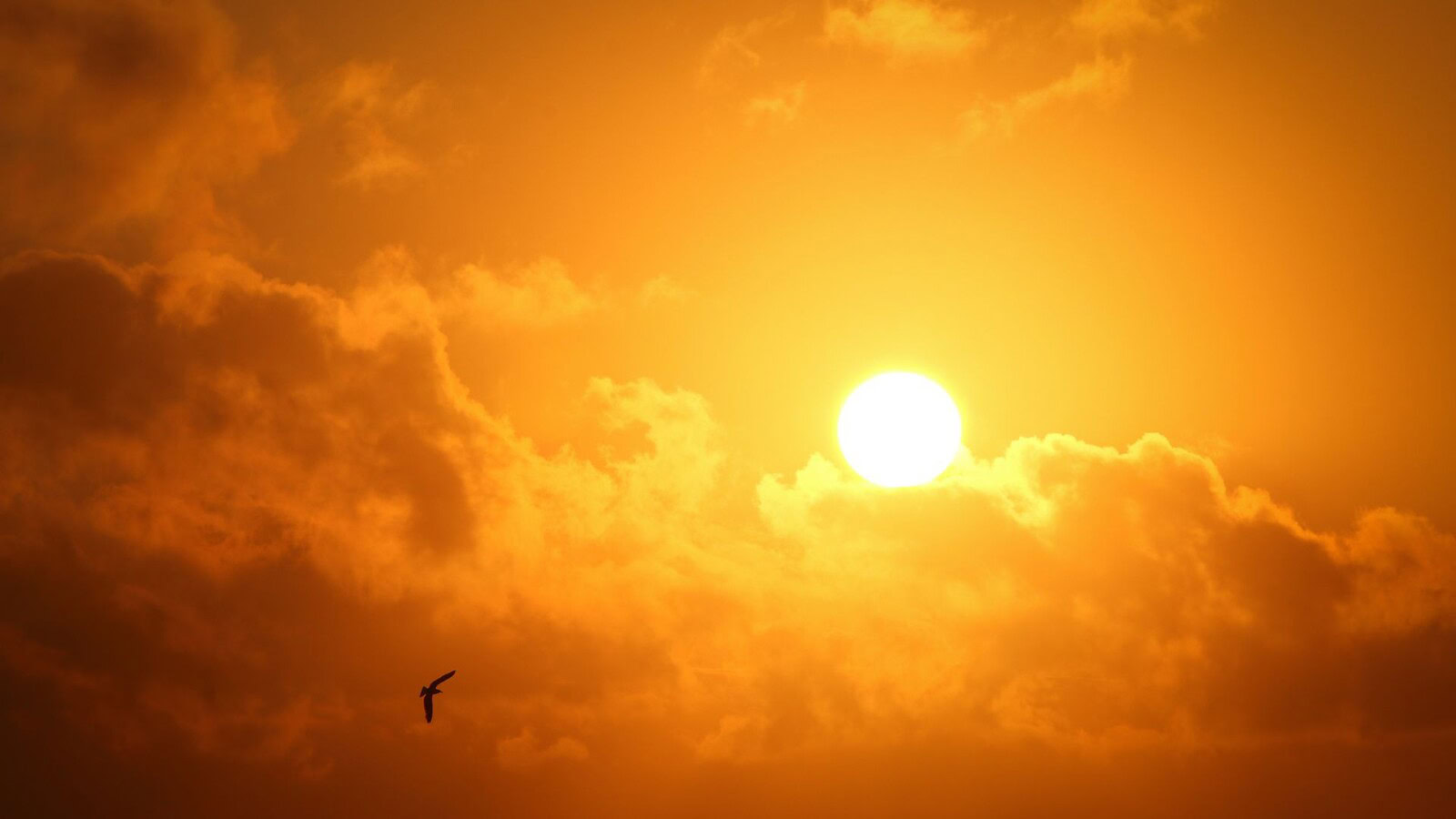 Entanglement quantistico creato con la luce del Sole: la svolta