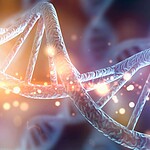DNA umano, scoperti due antenati fantasma mai trovati come fossili