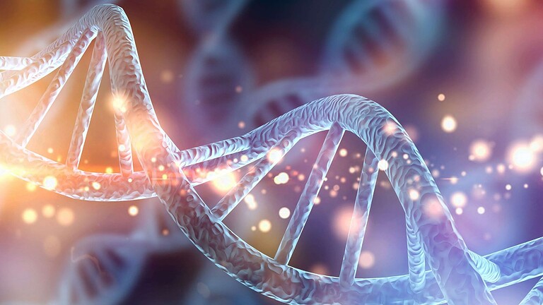 DNA umano, scoperti due antenati fantasma mai trovati come fossili