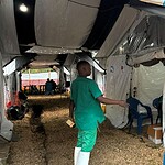 Ebola in Congo